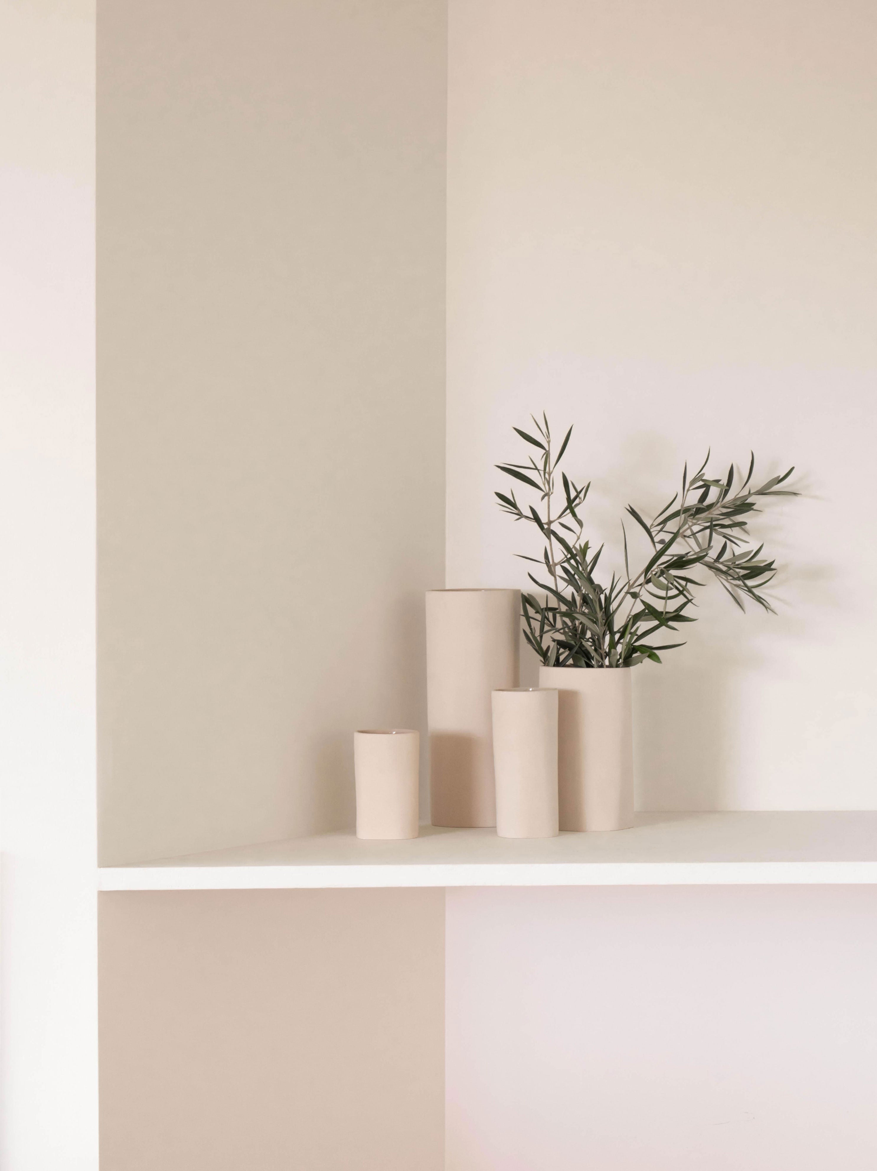 Fossil Vase Mini Bone / Small