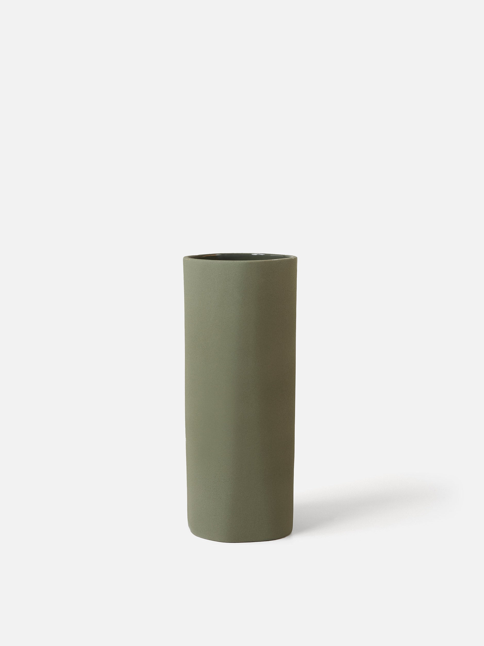 Fossil Vase Fern / Large