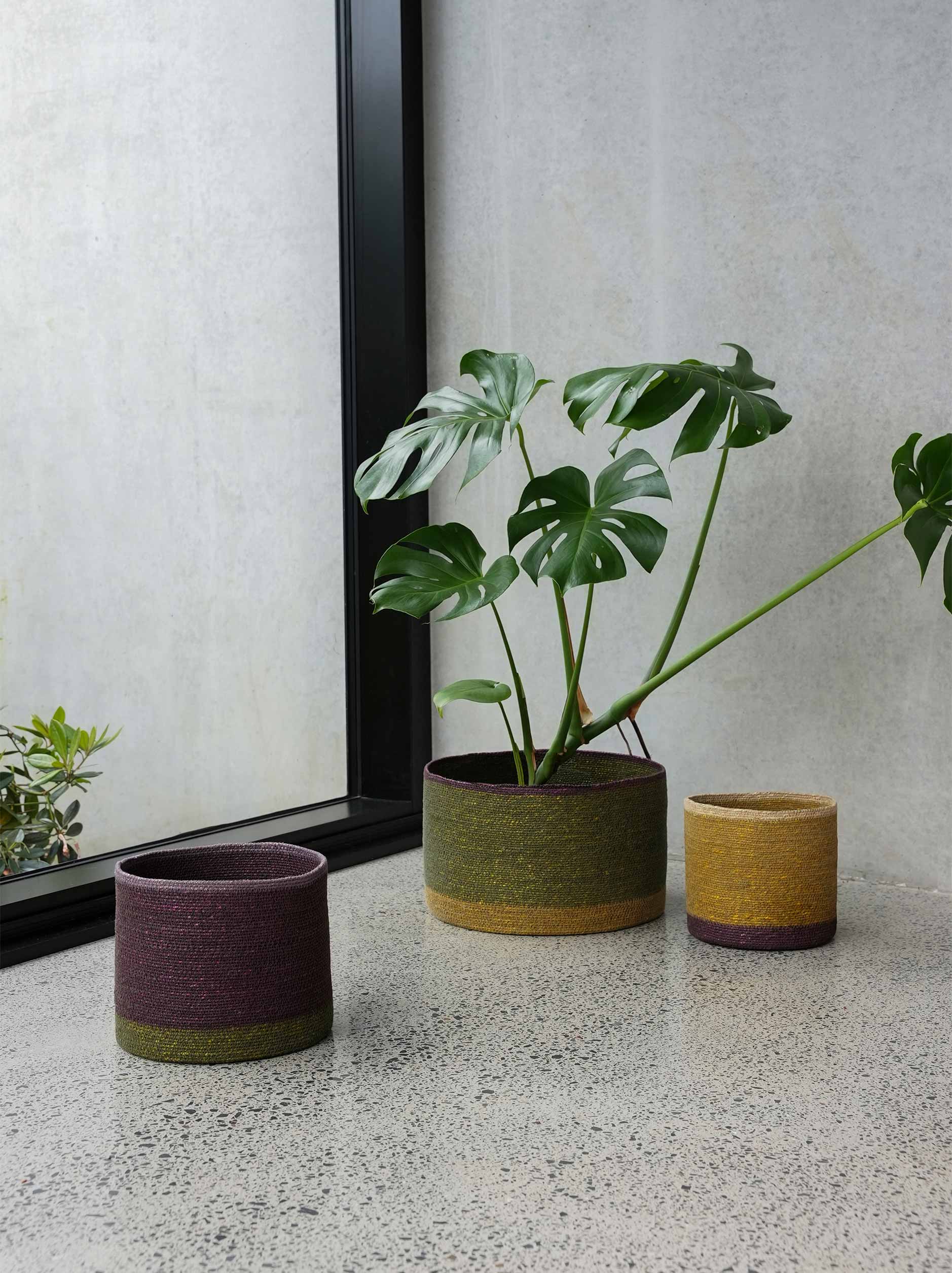 Pinto Storage Basket Ivy/Multi / Large