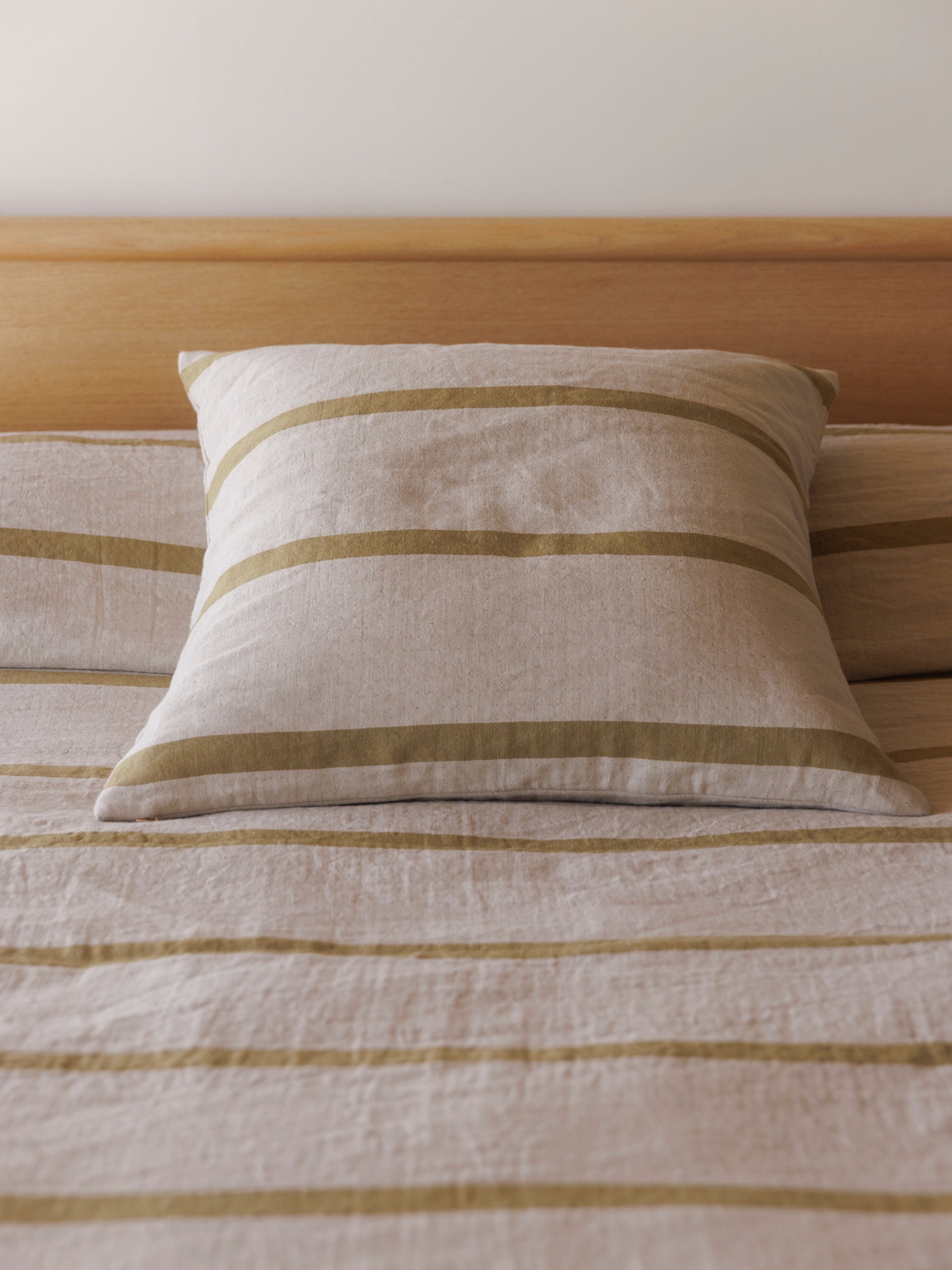Carnival Euro Cushion Natural/Cider / European Pillowcase