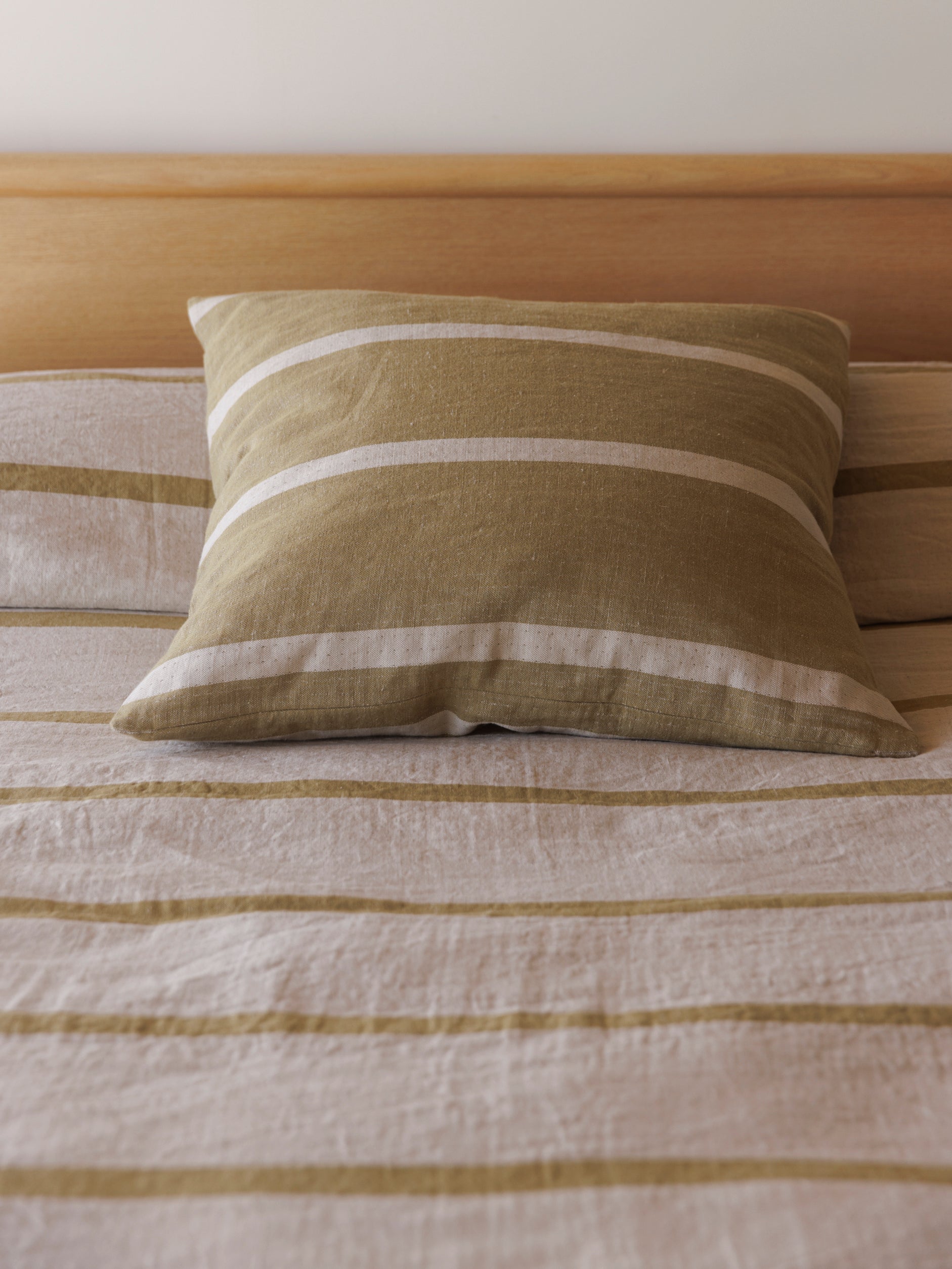 Carnival Euro Cushion Cider/Natural / European Pillowcase