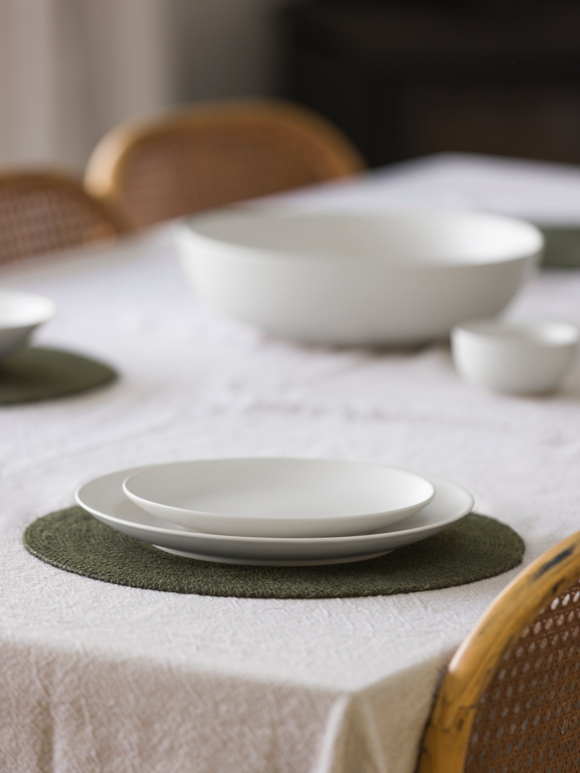 Stoneware Dinner Plate Set/4 None / None